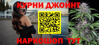 apvp Нальчик