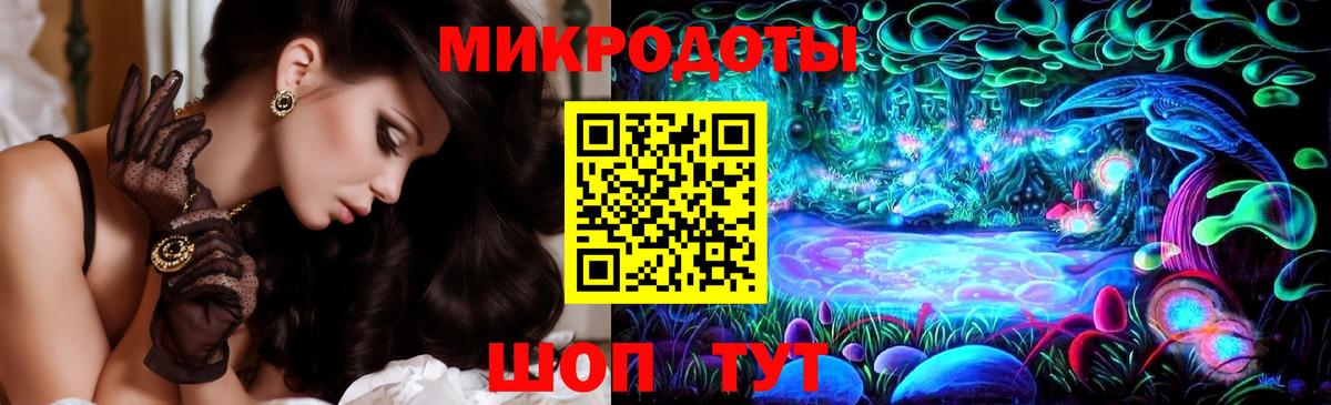 Галлюциногенные грибы Psilocybine cubensis Усть-Джегута